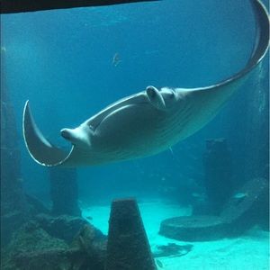 Meet your Posher, Bryan